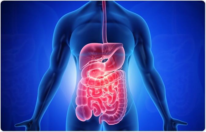 gastrointestinal
