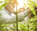 An Analytical and Legal Spotlight on Cannabis