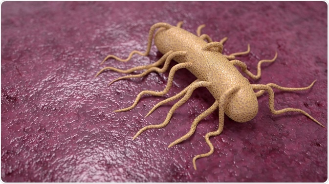 Listeria Bacteria