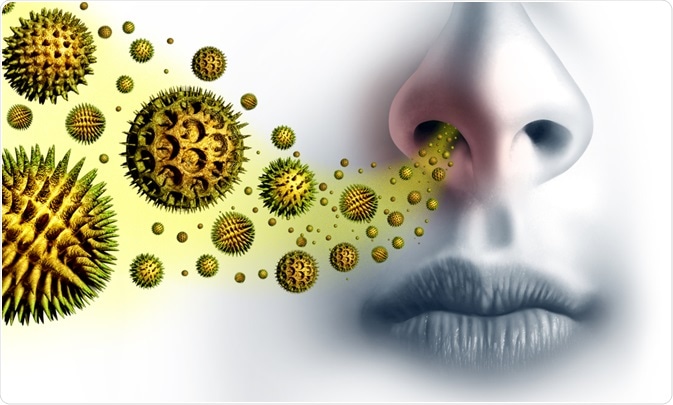 allergies allergies