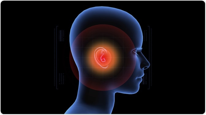 Human Ear