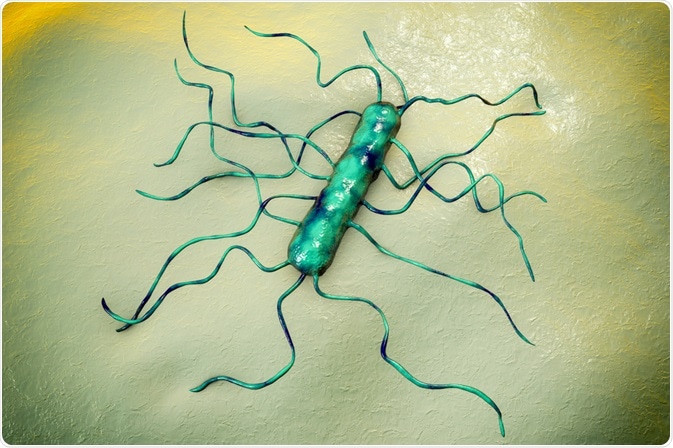 listeriosis
