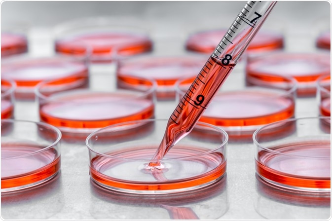 tissue culture