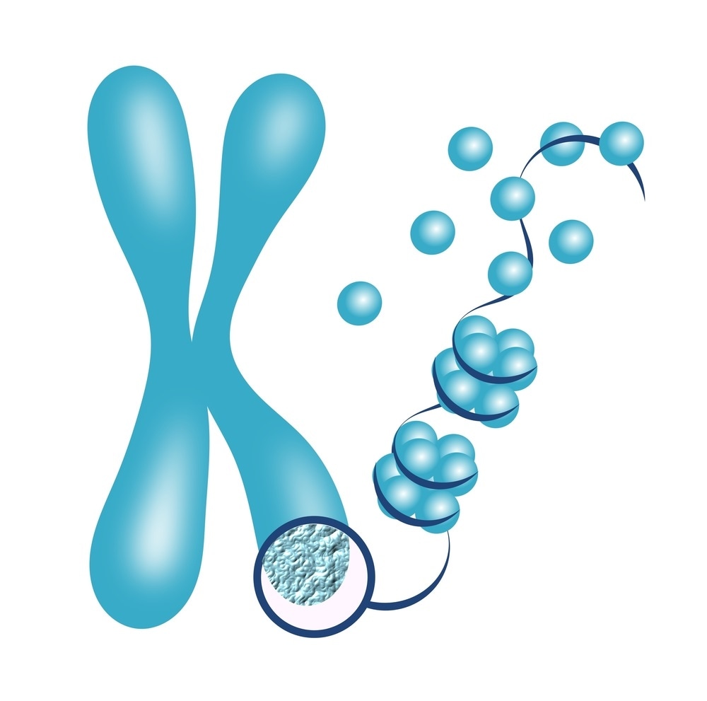 histone histone