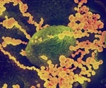 Clofazimine inhibits coronaviruses including SARS-CoV-2, study finds