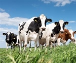 Animal Breeding and the Revolution of Cryogenics