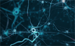 The Evolution of In-Vivo Technology