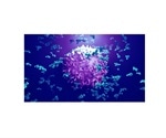 Advancing the Diagnosis and Treatment of Ovarian Cancer