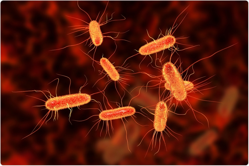 E Coli E Coli