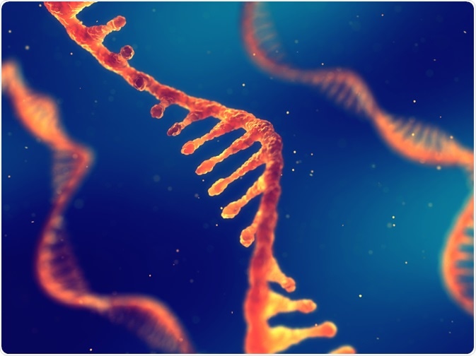 rna