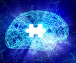 The Role of D-Amino Acids in Humans