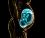 What is Vertical Transmission?