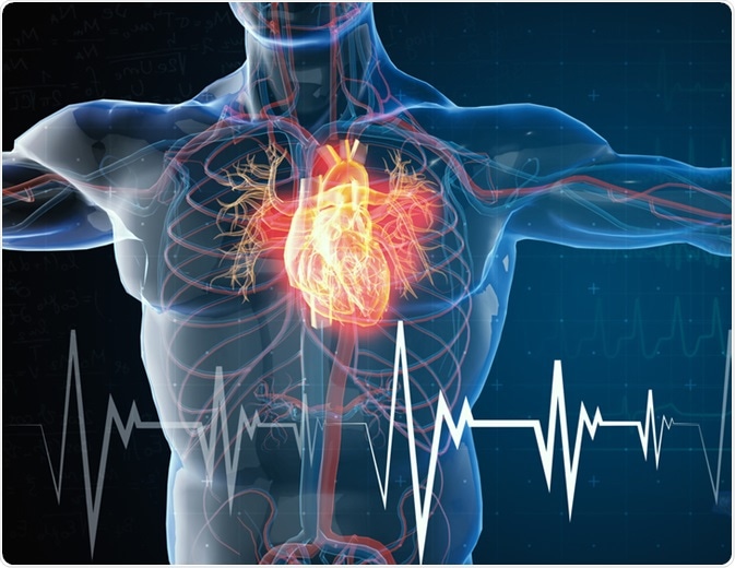 resuscitation resuscitation