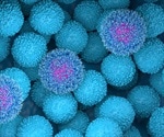 Human Tumor Xenograft Models