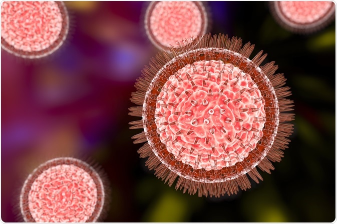 zika virus