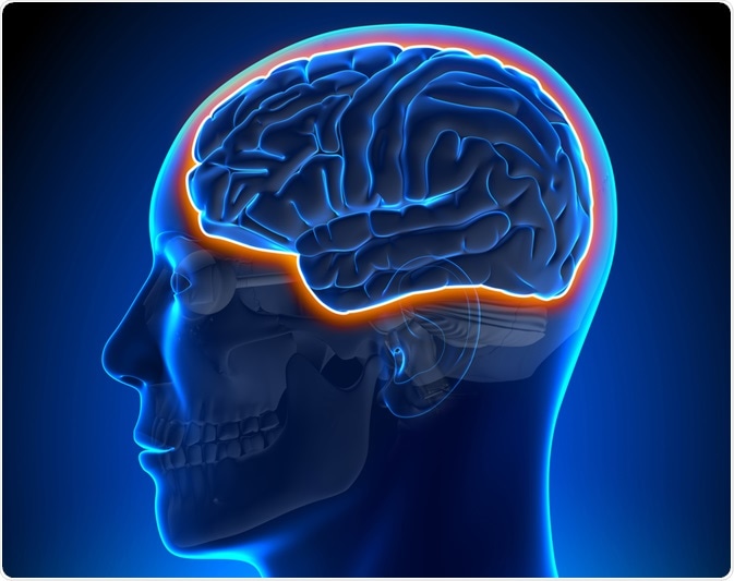 blood-brain barrier