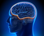What is the Blood-Brain Barrier?