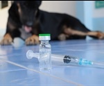 Rabies Prevention