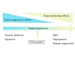 Controlling a Tumor Microenvironment