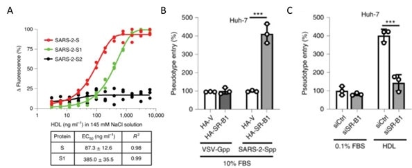 A) S protein S1 subunit binds to components of HDL. b) HDL receptor SR-B1 enhances SARS-CoV-2 entry.