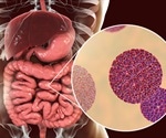 Rotavirus Mechanisms