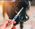 Rabies In Animals