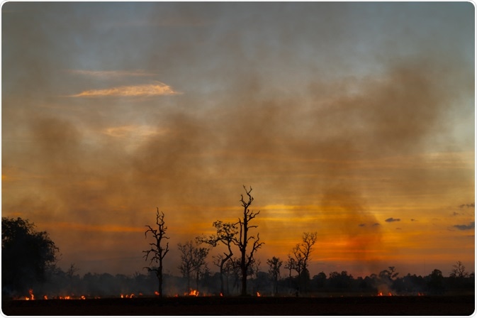 wildfires