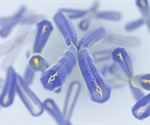 What is Chromosome 1?