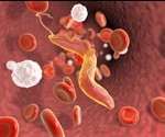 Chagas: A Neglected Disease in the United States