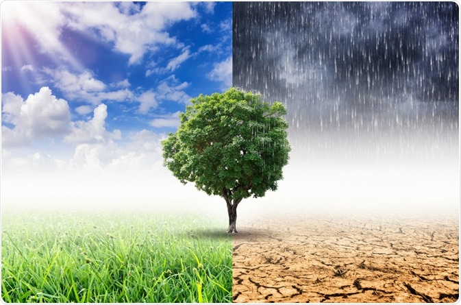 Climate Change Climate Change