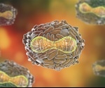 Smallpox Cause