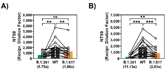 (2A) Diminished neutralization by plasma from COVID-19 convalescent patients against SARS-CoV-2 WT, B.1.351, and B.1.617. (2B) Diminished neutralization by plasma from Comirnaty/BNT162b2 vaccinated patients against SARS-CoV-2 WT, B.1.351, and B.1.617.