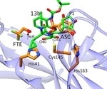 Study reports vitamin C inhibits SARS-CoV-2 virus main protease