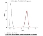 CAR-T Therapy: Combating Cytokine Release Syndrome