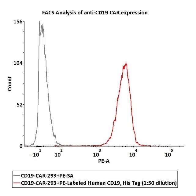 CAR-T Therapy: Combating Cytokine Release Syndrome CAR-T Therapy: Combating Cytokine Release Syndrome