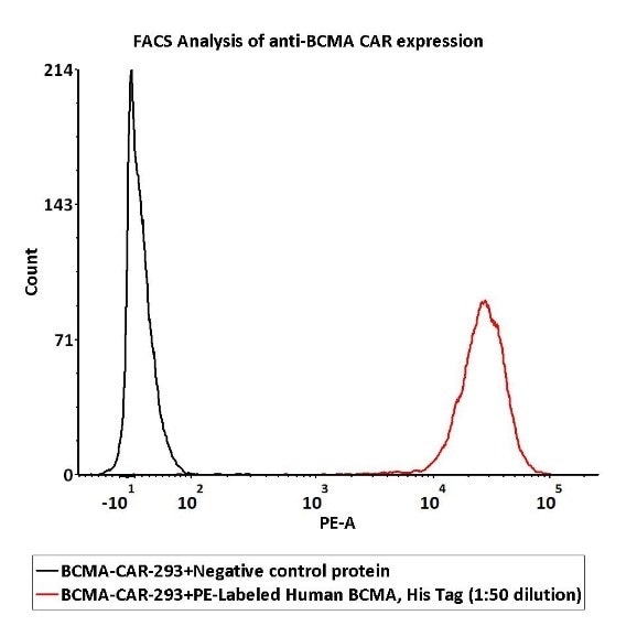 CAR-T Therapy: Combating Cytokine Release Syndrome CAR-T Therapy: Combating Cytokine Release Syndrome