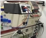 Pulsed-Field Gel Electrophoresis (PFGE) for the Separation of DNA Macromolecules