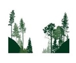 Seeing the forest for the trees: CMC and Regulatory Affairs