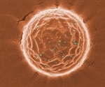 Researchers develop a nanoparticle-based formulation with anti-SARS-CoV-2 activity