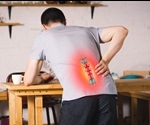 Spondylolisthesis Pathology