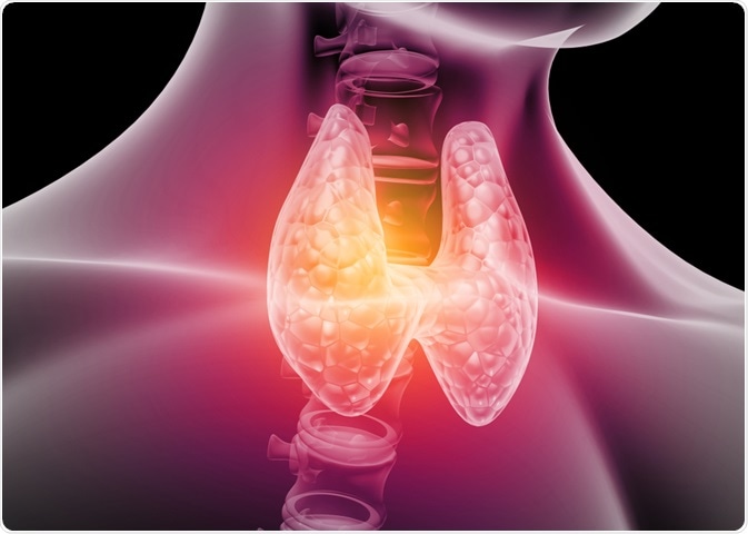 endocrinology