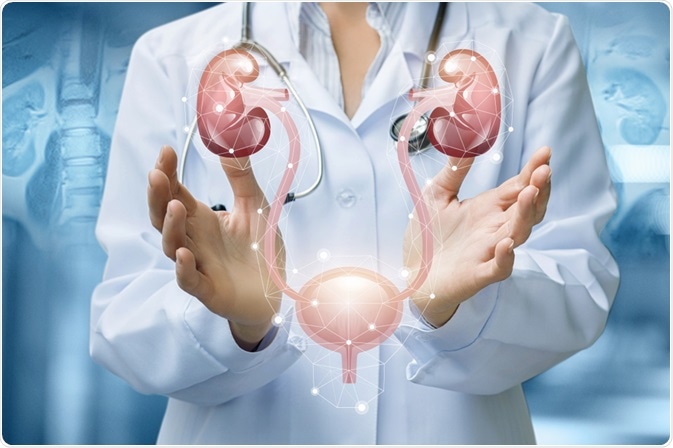 urodynamics