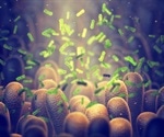 What is a Symbiotic Microbial Community?