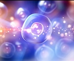 Cell Communication During Growth