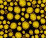 What is a Zoonosis?