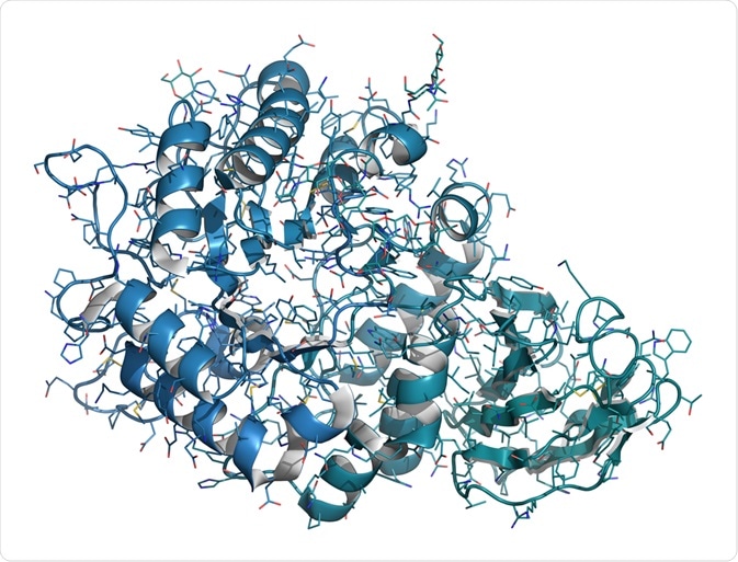 alpha-galactosidase