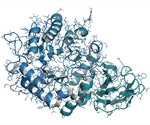 What is Fabry Disease?