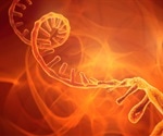 What is SiRNA?