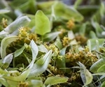 Natural products a rich source for novel antiviral compounds