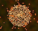 Will emerging SARS-CoV-2 variants affect T cell immunity? A meta-analysis